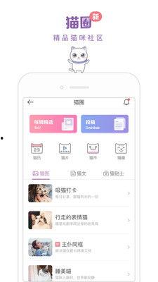 日本app聊天,揭秘潮流社交新趋势