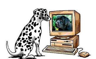 最新爆料吃野味得传染病,最新传染病爆发，警惕吃野味带来的健康隐患