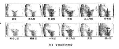 老公没有阴毛_没有胡子